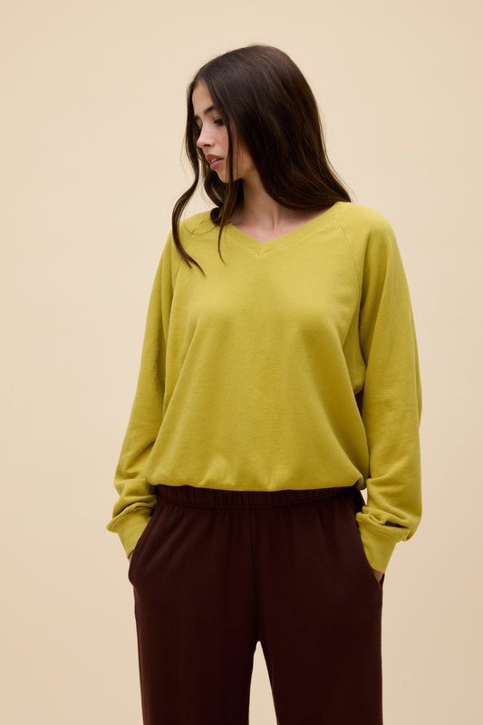 Yellow Jasmine