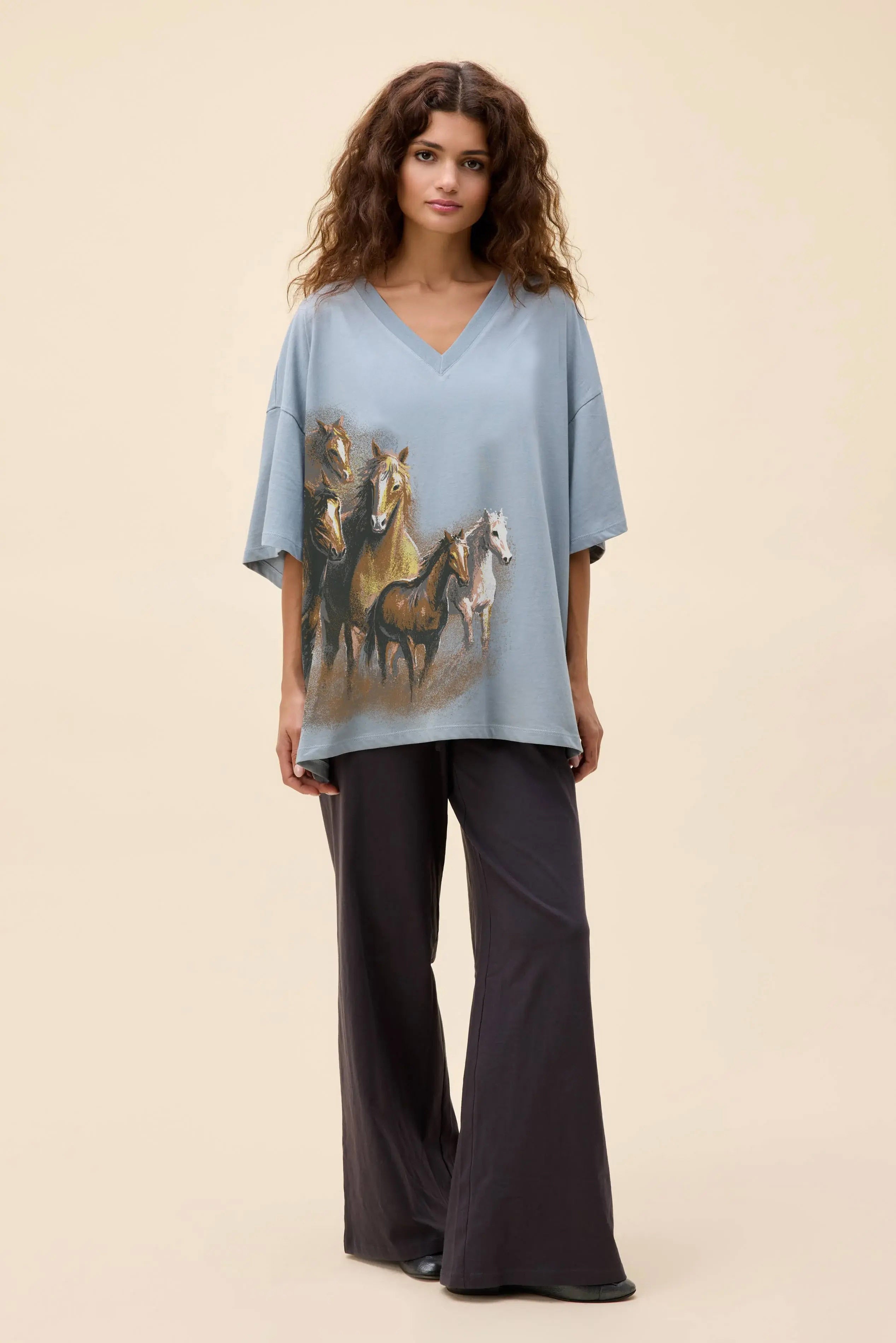 Wild Horses OS V-Neck Tee | Daydreamer