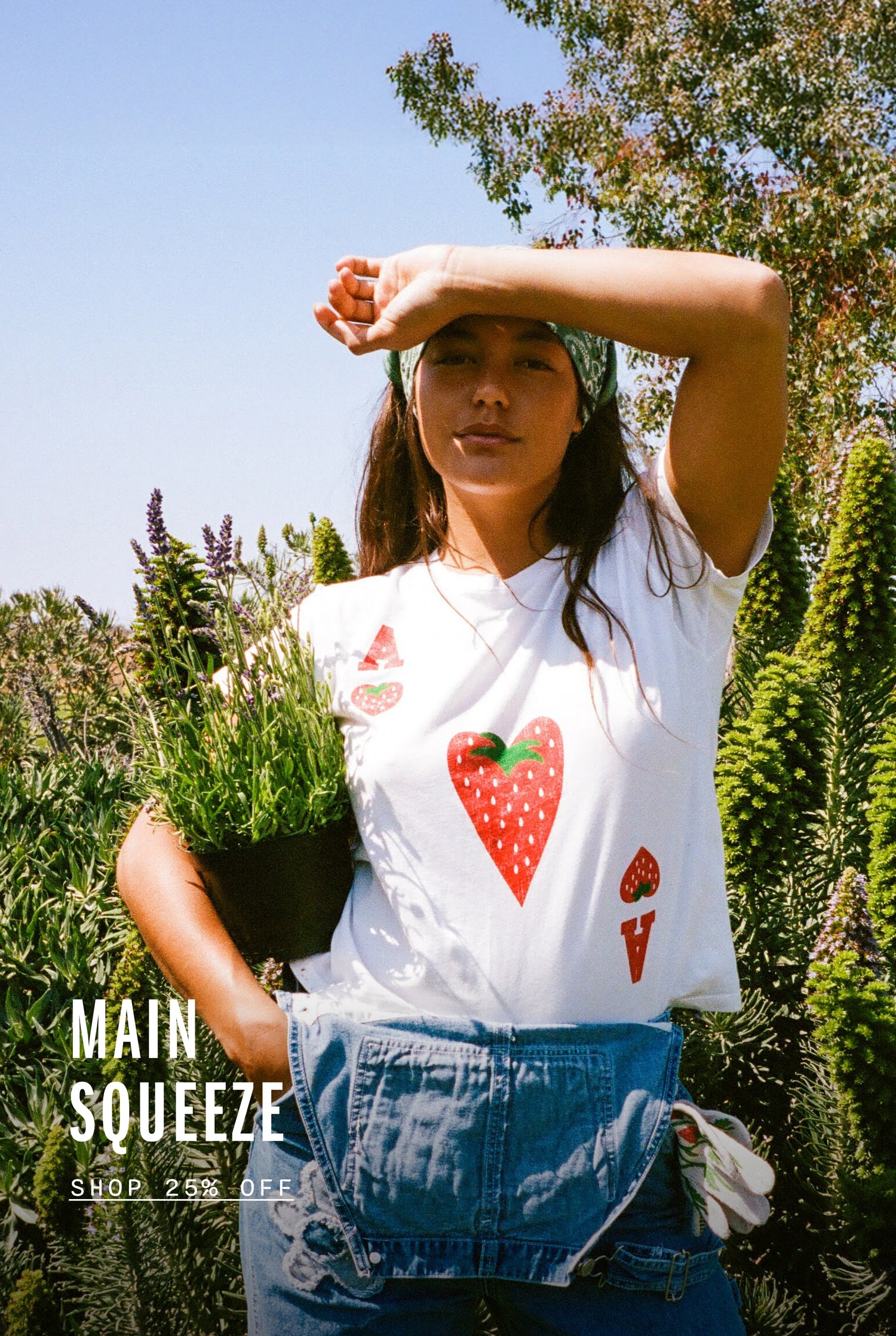 Main Squeeze - Shop 25% Off