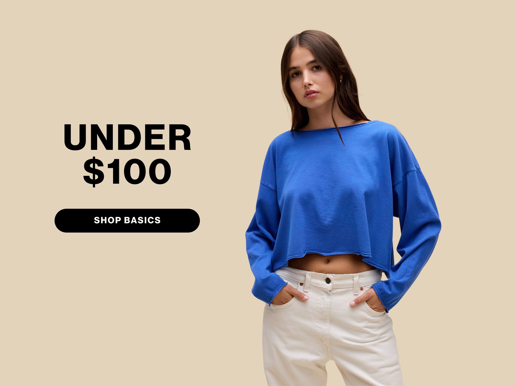 Under $100 - Shop Basics