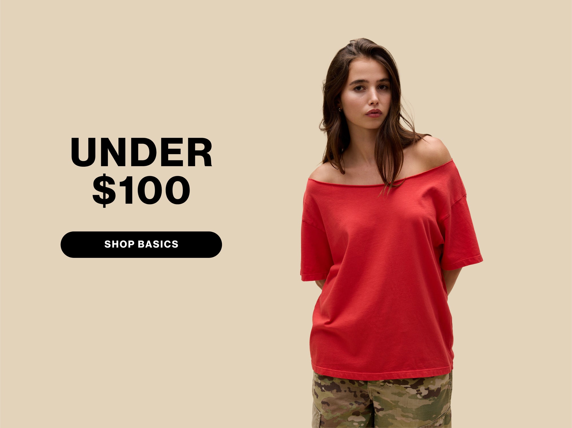 Under $100 - Shop Basics 