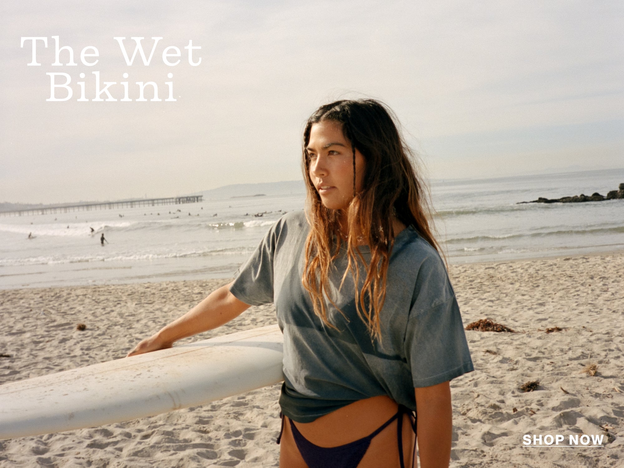 The Wet Bikini - Shop Now