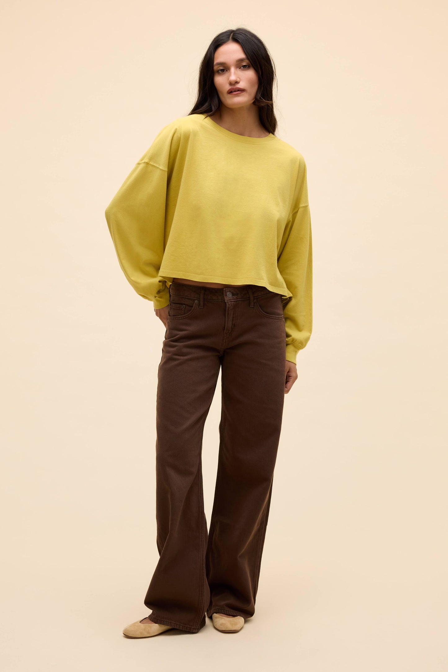 Yellow Jasmine