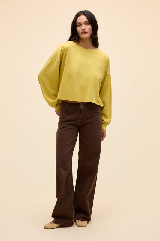 Yellow Jasmine