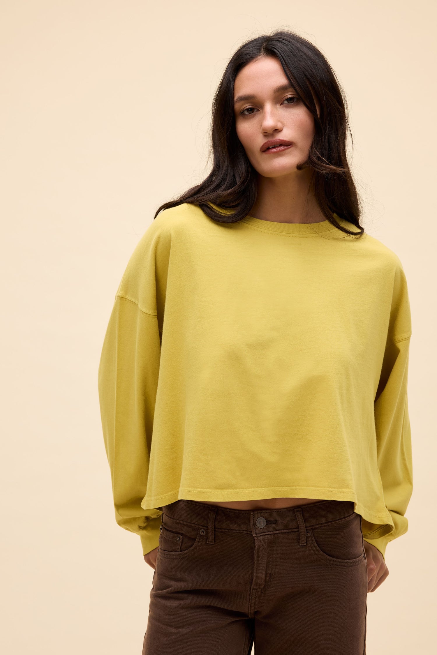 Yellow Jasmine