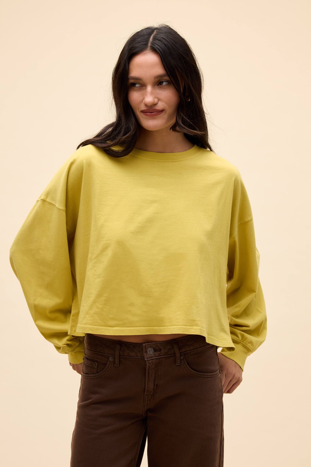 Yellow Jasmine