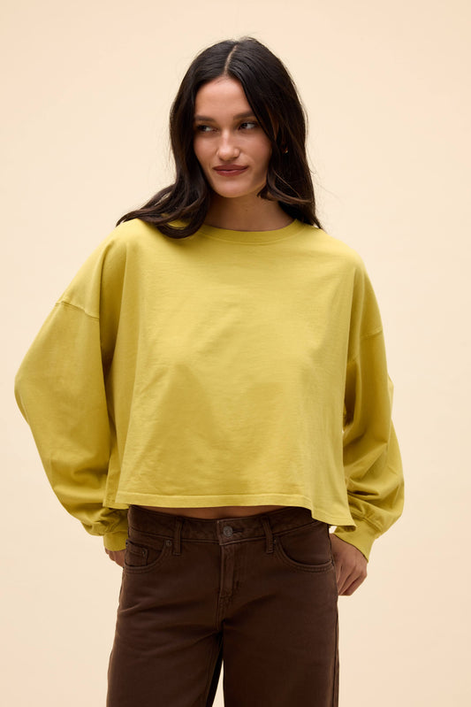 Yellow Jasmine