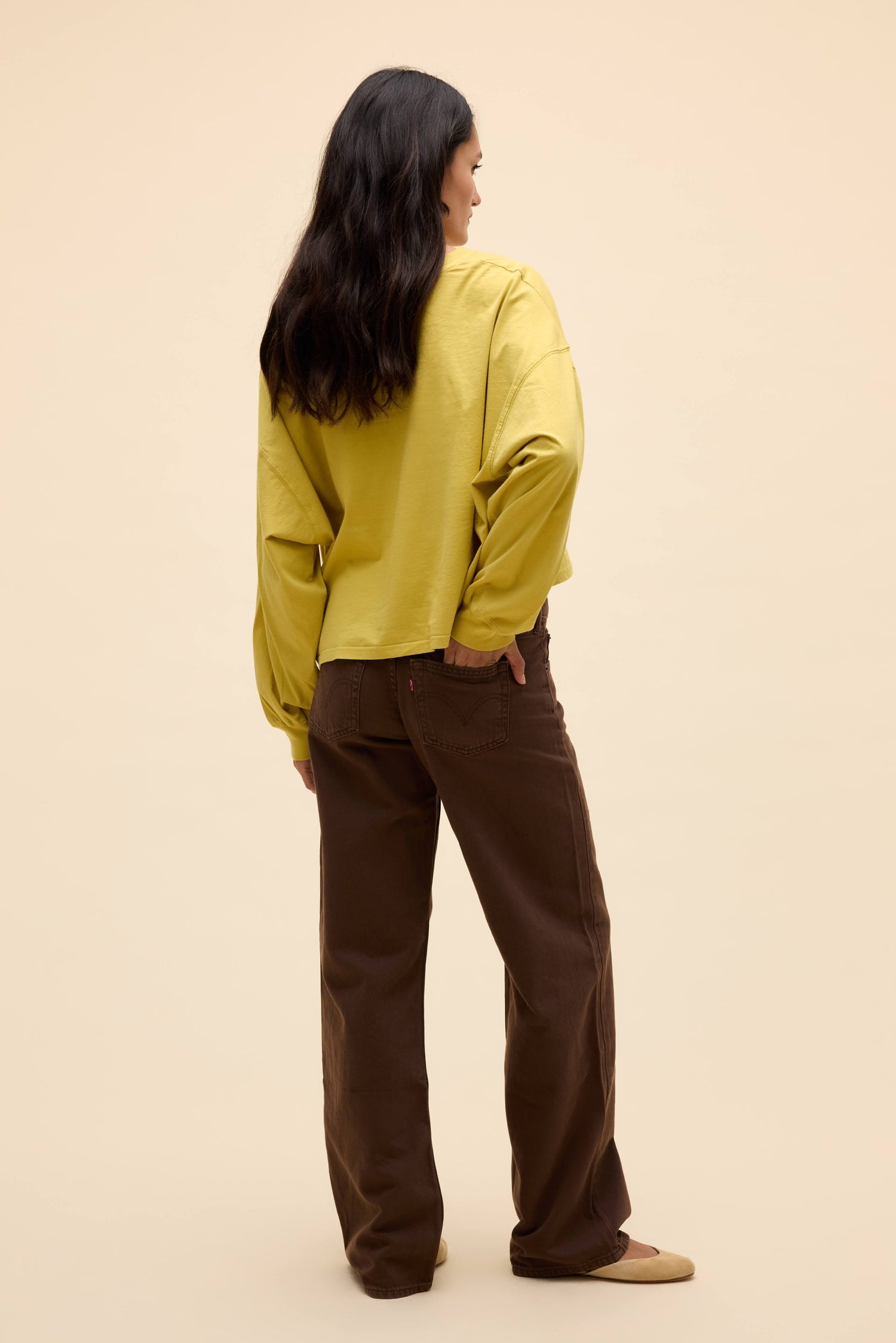 Yellow Jasmine