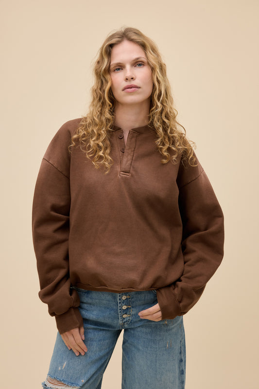 Sunfaded Wild Mushroom