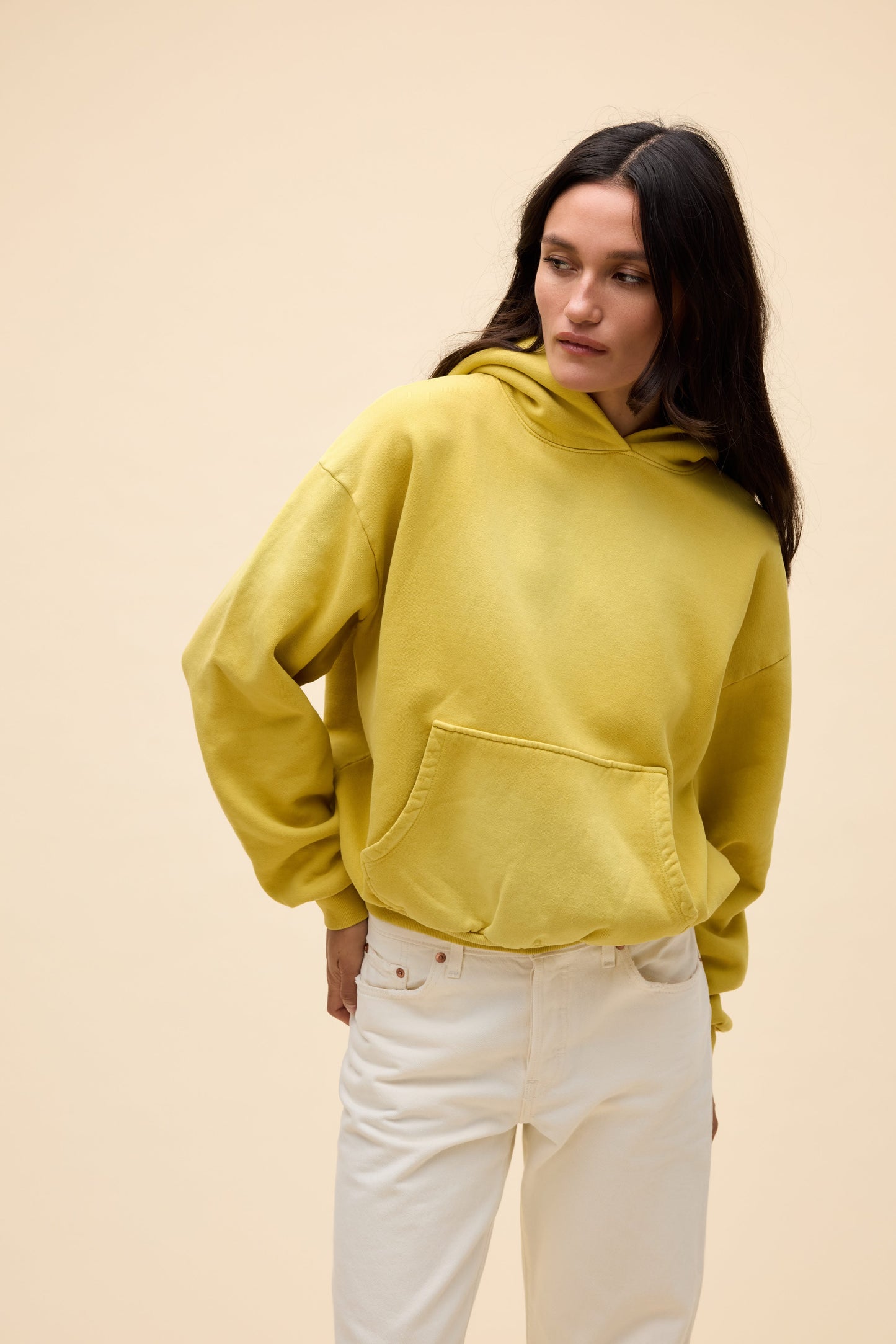 Yellow Jasmine