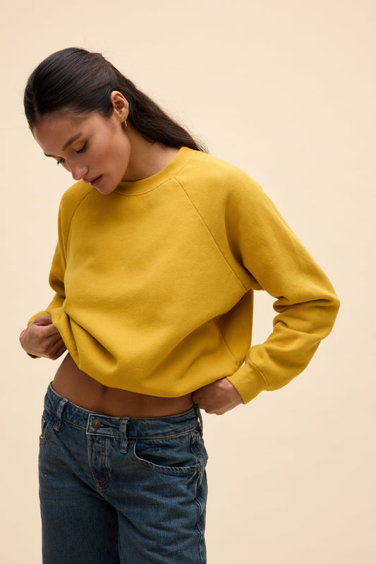 Splay Mustard