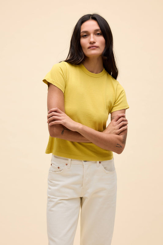 Yellow Jasmine