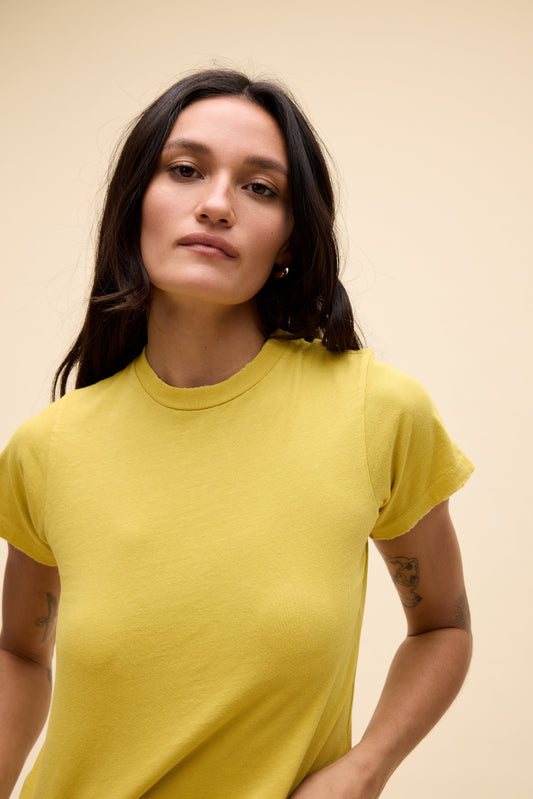 Yellow Jasmine