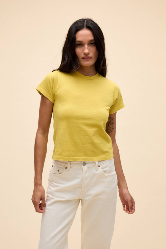 Yellow Jasmine