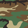 camo.png