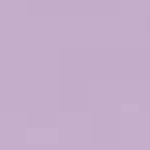 lavender-bloom.png